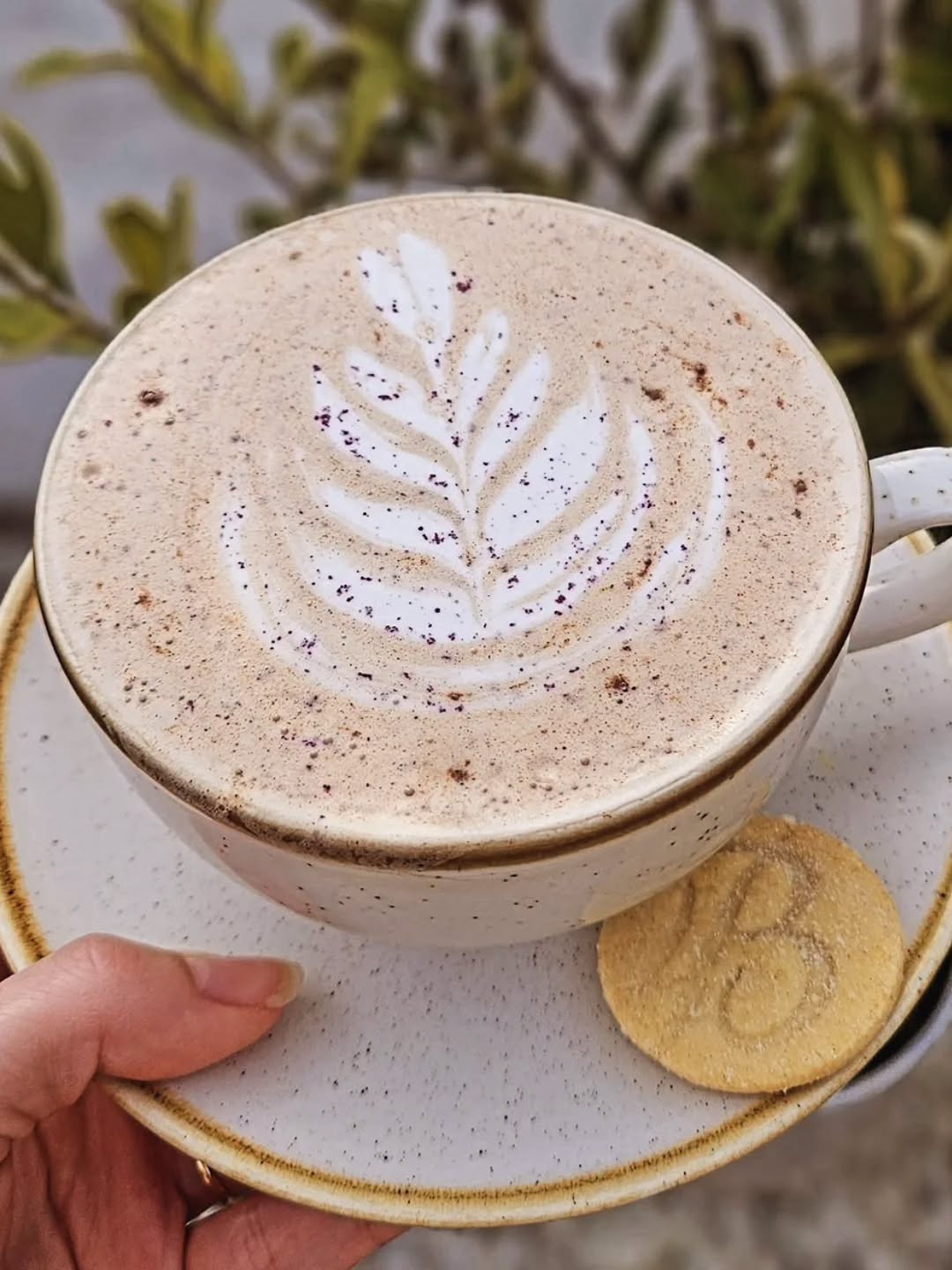 Latte
